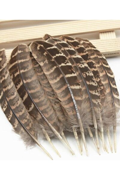 FARM ANIMALS Şapka, Bere, Kulaklık