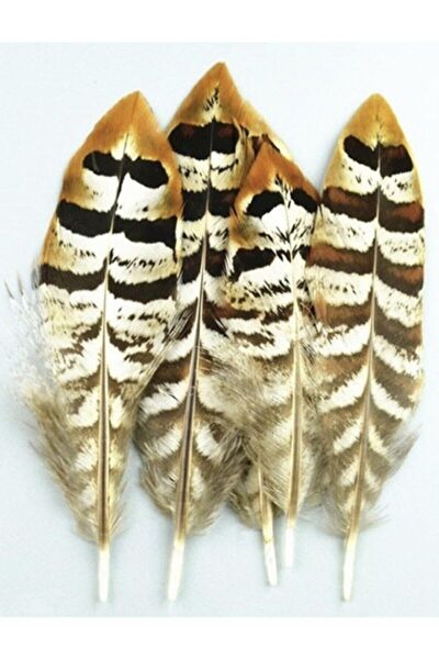 FARM ANIMALS Şapka, Bere, Kulaklık