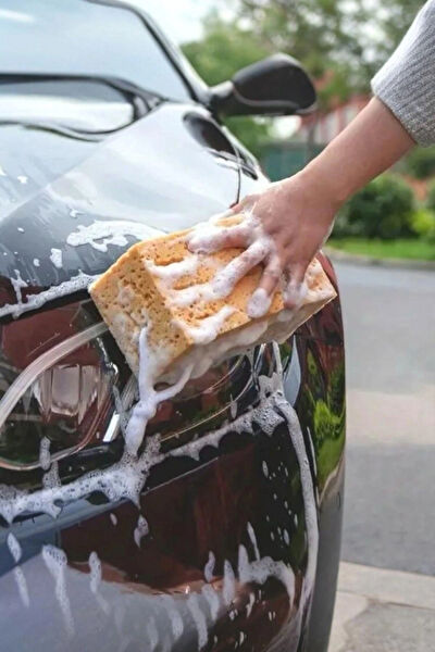 Fine Clean Oto Temizlik Süngerleri