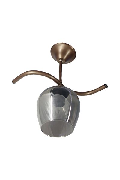 Mutu Ticaret Avize, Sarkıt