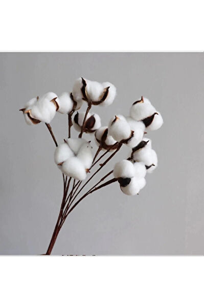 EVSAY Yapay Çiçek, Meyve