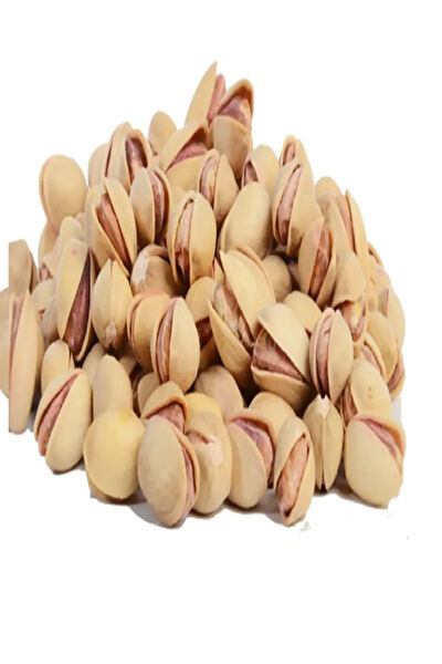 Alp Fıstıkçılık Fındık