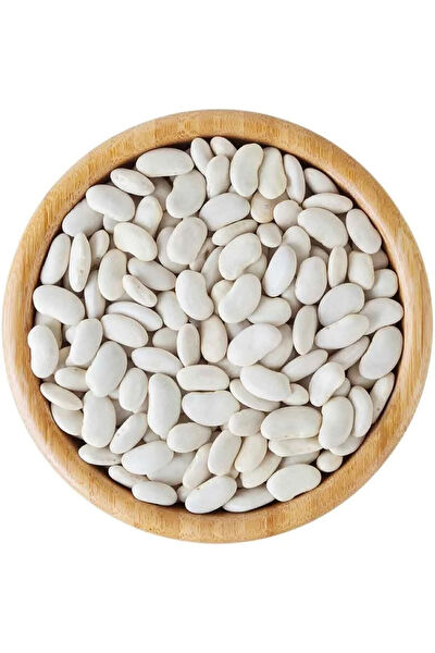 Serdar Çam Tohumculuk Tohum