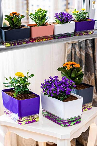 Fırsat Oyuncak Pusula