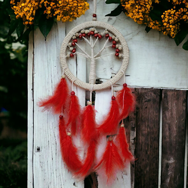 LTG Nova Hediyelik Ürün