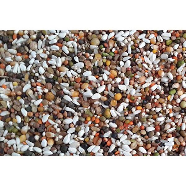 Akvaryum Kuş Yemi, Kraker