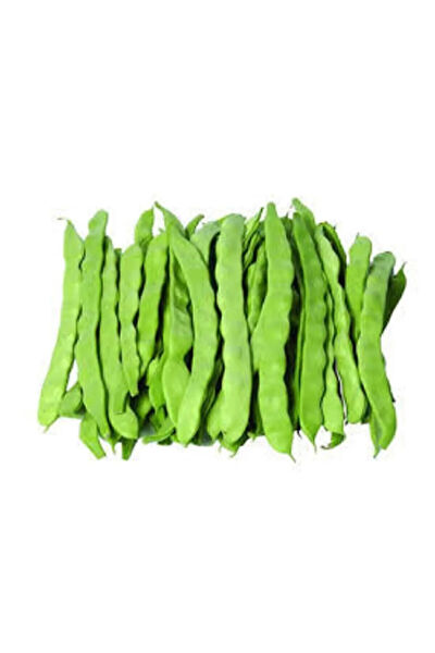 Serdar Çam Tohumculuk Tohum