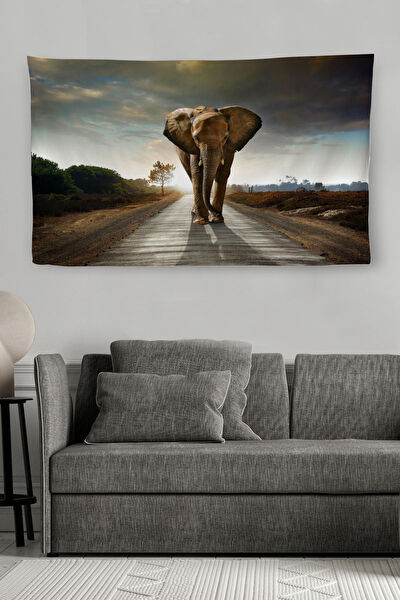 Doğal Tercih Duvar Halısı, Örtüsü