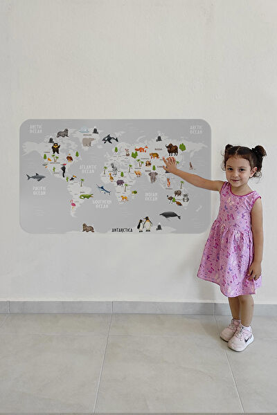 Harita Sepeti Harita