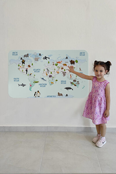 Harita Sepeti Harita