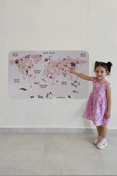 Harita Sepeti Harita