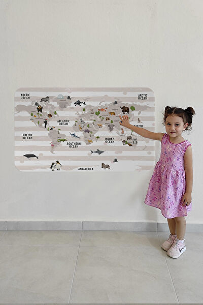 Harita Sepeti Harita