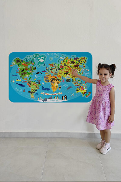 Harita Sepeti Harita