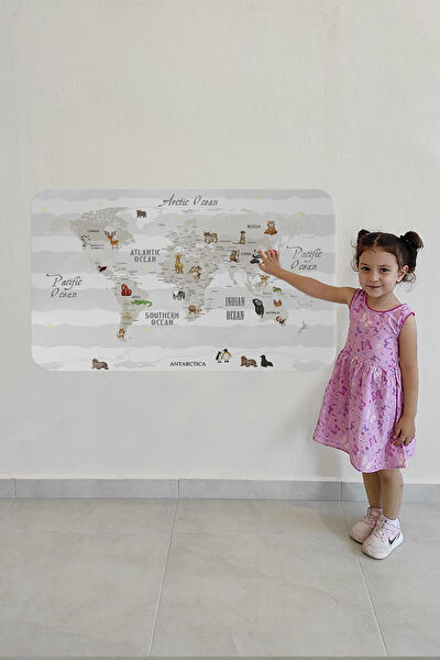 Harita Sepeti Harita