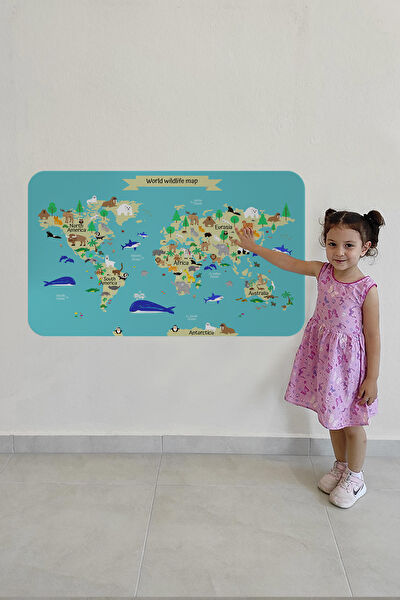 Harita Sepeti Harita