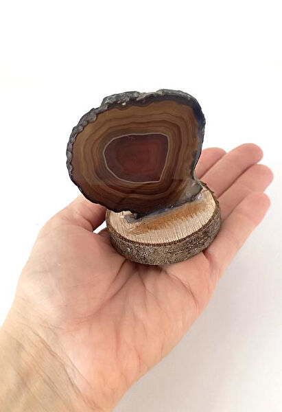 Hdmarketim.com Dekoratif Obje, Biblo, Figür