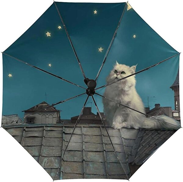 Herşey Nota Şemsiye