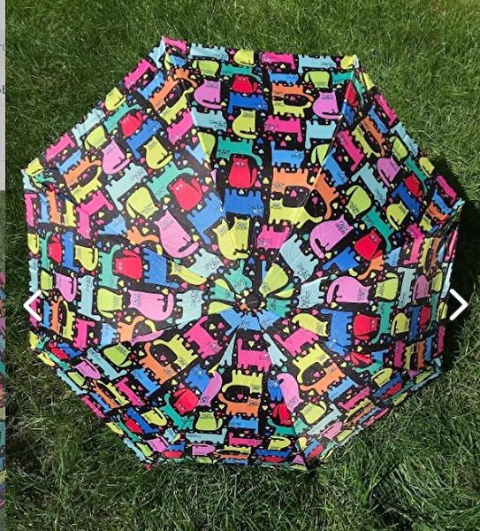 Herşey Nota Şemsiye