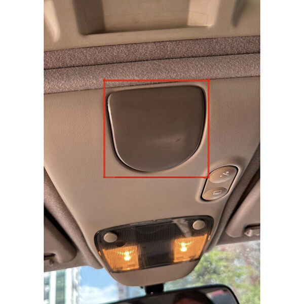 Swordslife Paçalıklar