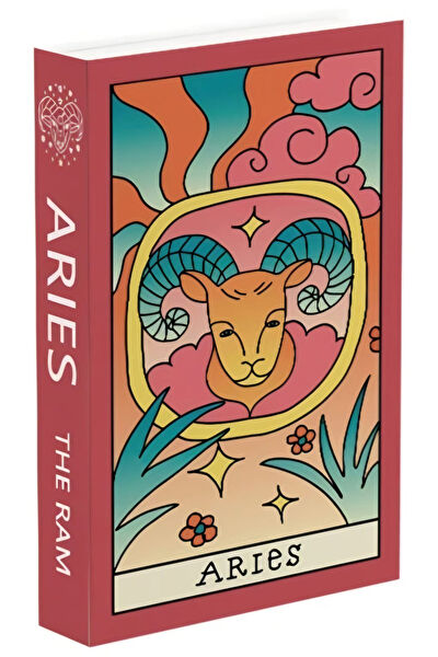 Bseystore Sepet, Kutu