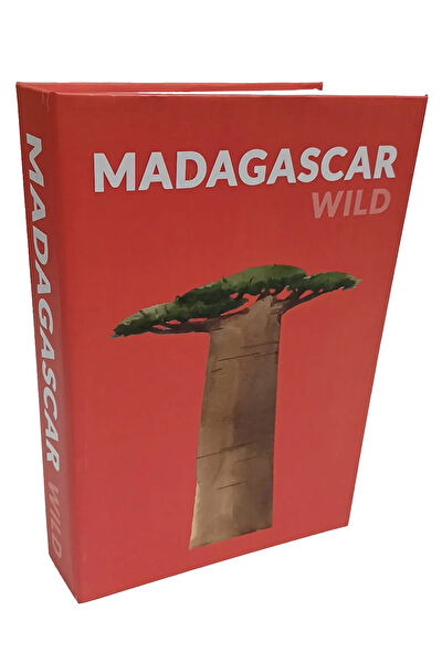 Bseystore Sepet, Kutu