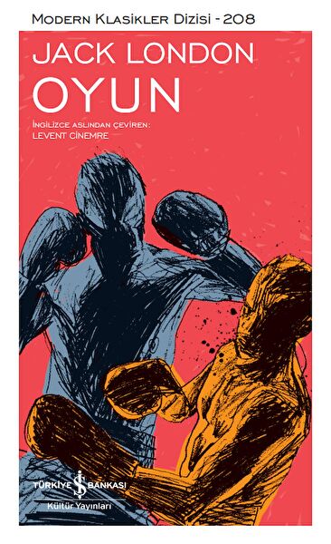 Türkiye İş Bankası Kültür Yayınları Roman