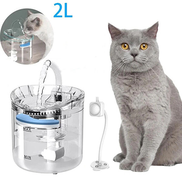 MDS Kedi Mama ve Su Kapları