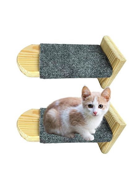 Beylini Kedi Oyuncakları