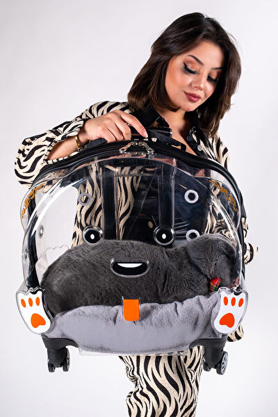 Protocol London Kedi Çantası