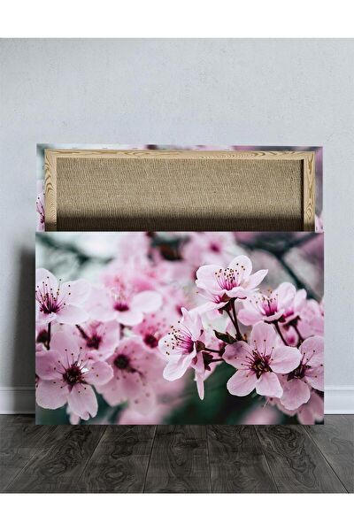 Kanvassepetinet Kanvas Tablo