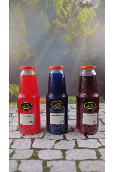 Birgi Köy Evi Meyve Suyu