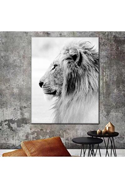 Kanvassepetinet Kanvas Tablo