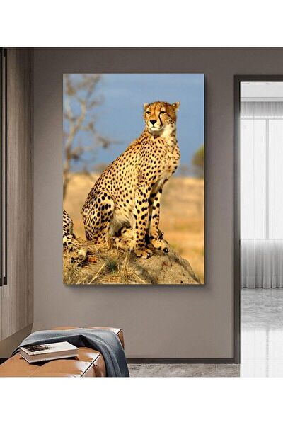 Kanvassepetinet Kanvas Tablo