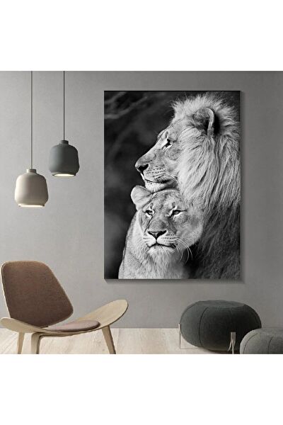 Kanvassepetinet Kanvas Tablo