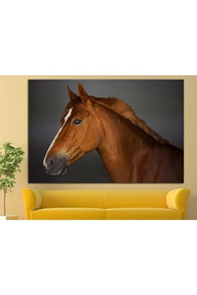 Kanvassepetinet Kanvas Tablo