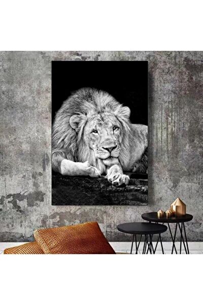 Kanvassepetinet Kanvas Tablo