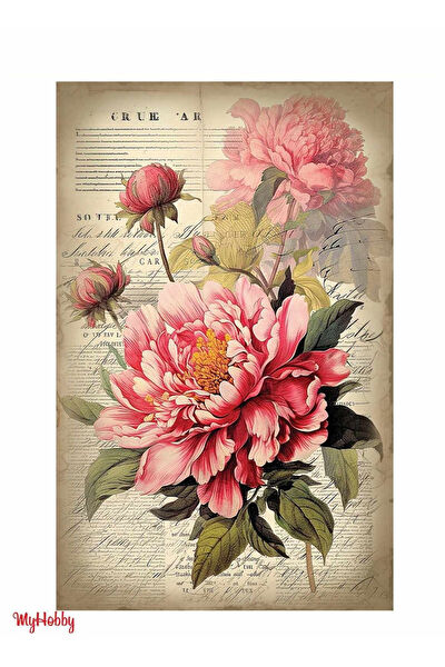 MyHobby Yardımcı Sanat Ürünleri