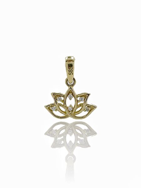 MaGold Takı Aparatları