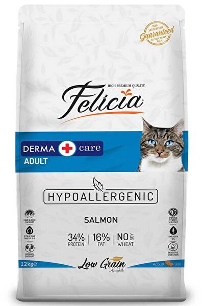 Felicia Kedi Maması