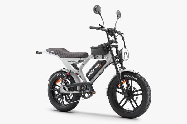 Ape Ryder Elektrikli Bisiklet