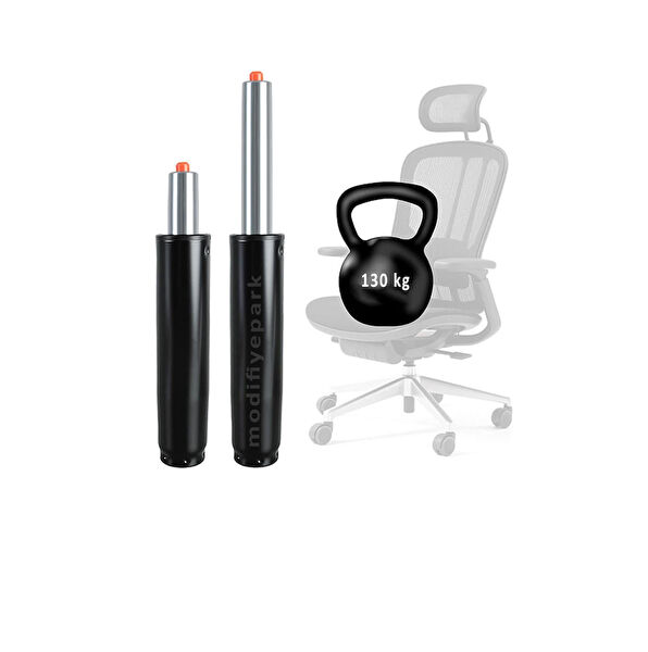 Poligonofis Pistonlar