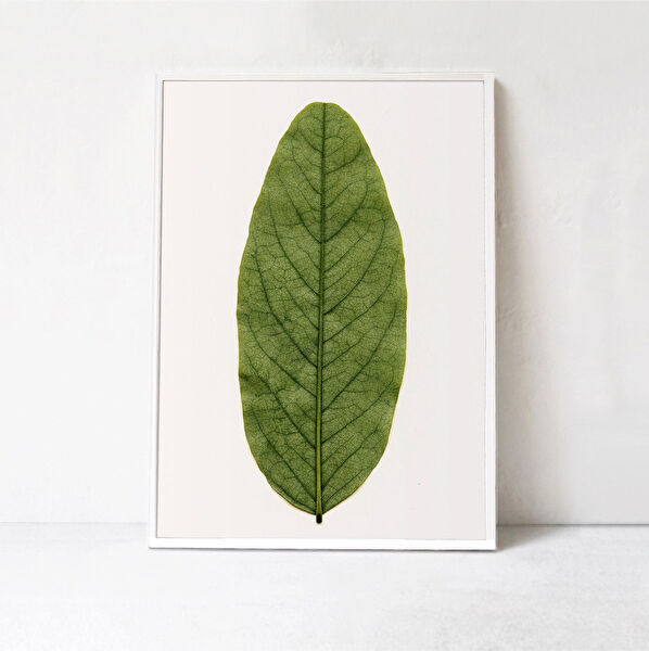 Ninastore Çerçeveli Tablo