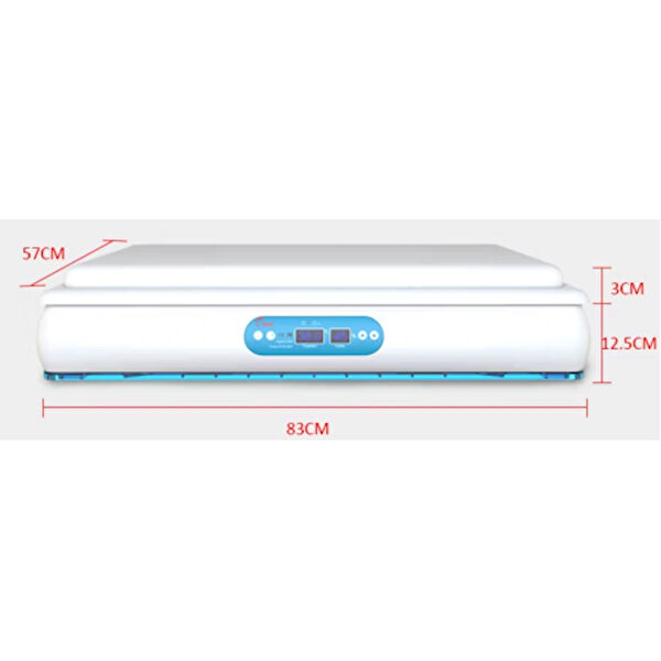 Kümesçi Kümes Hayvancılığı