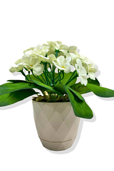 CİHAN ÇİÇEKÇİLİK Yapay Çiçek, Meyve