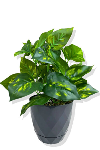 CİHAN ÇİÇEKÇİLİK Yapay Çiçek, Meyve