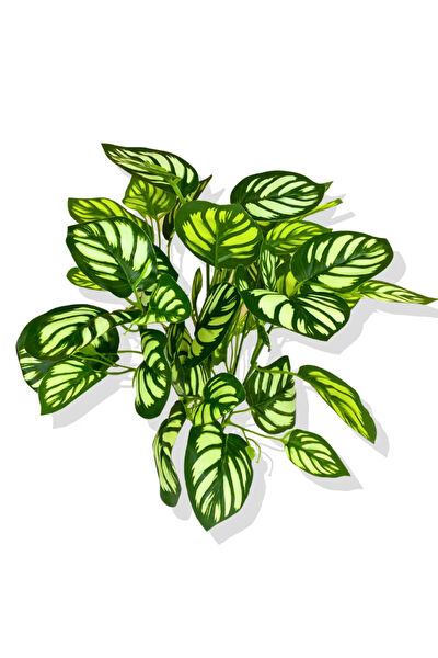 CİHAN ÇİÇEKÇİLİK Yapay Çiçek, Meyve