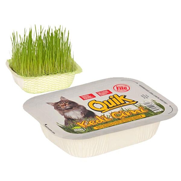 Quik Kedi Çimleri