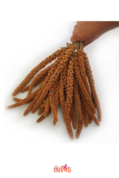 ÖzPati Kuş Yemi, Kraker