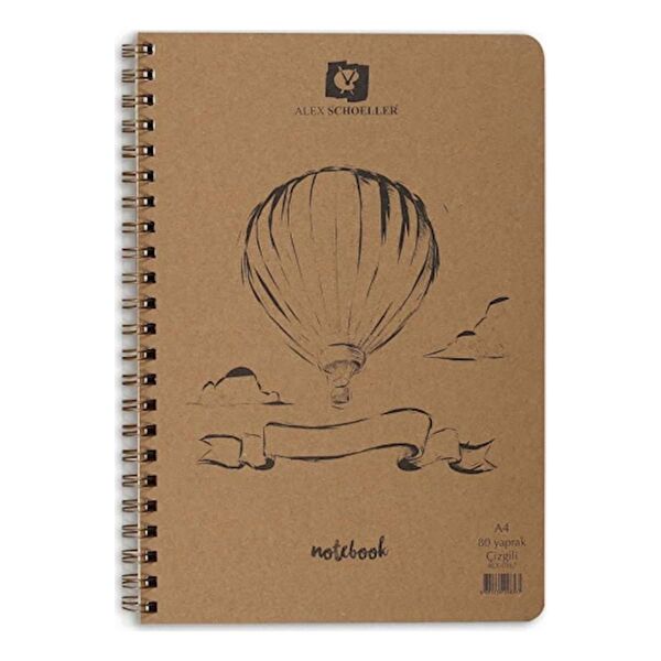 Alex Schoeller Defter, Ajanda