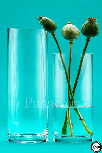 Paşabahçe Vazo, Saksı